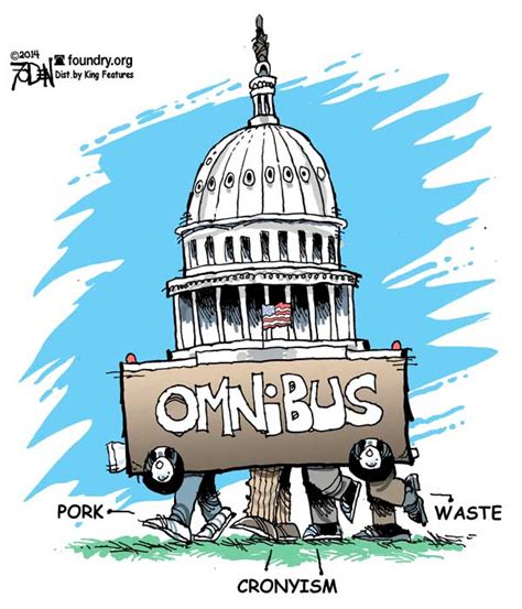 who voted for the omnibus bill