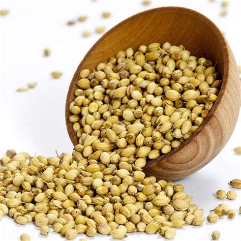 Whole Coriander Seeds from Real Foods Buy Bulk Wholesale Online