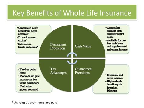 What is Whole Life Insurance? The Pros and Cons India Dictionary