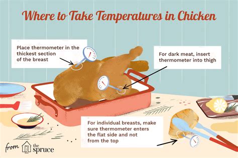 Whole Chicken Temperature