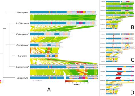 Whole Genome Alignment