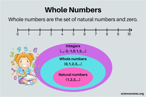 whole number definition with example for class 6