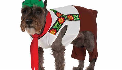 Wholesale Dog Christmas Costume