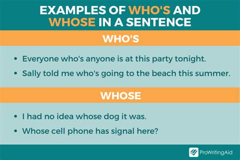 whose and who's sentence examples