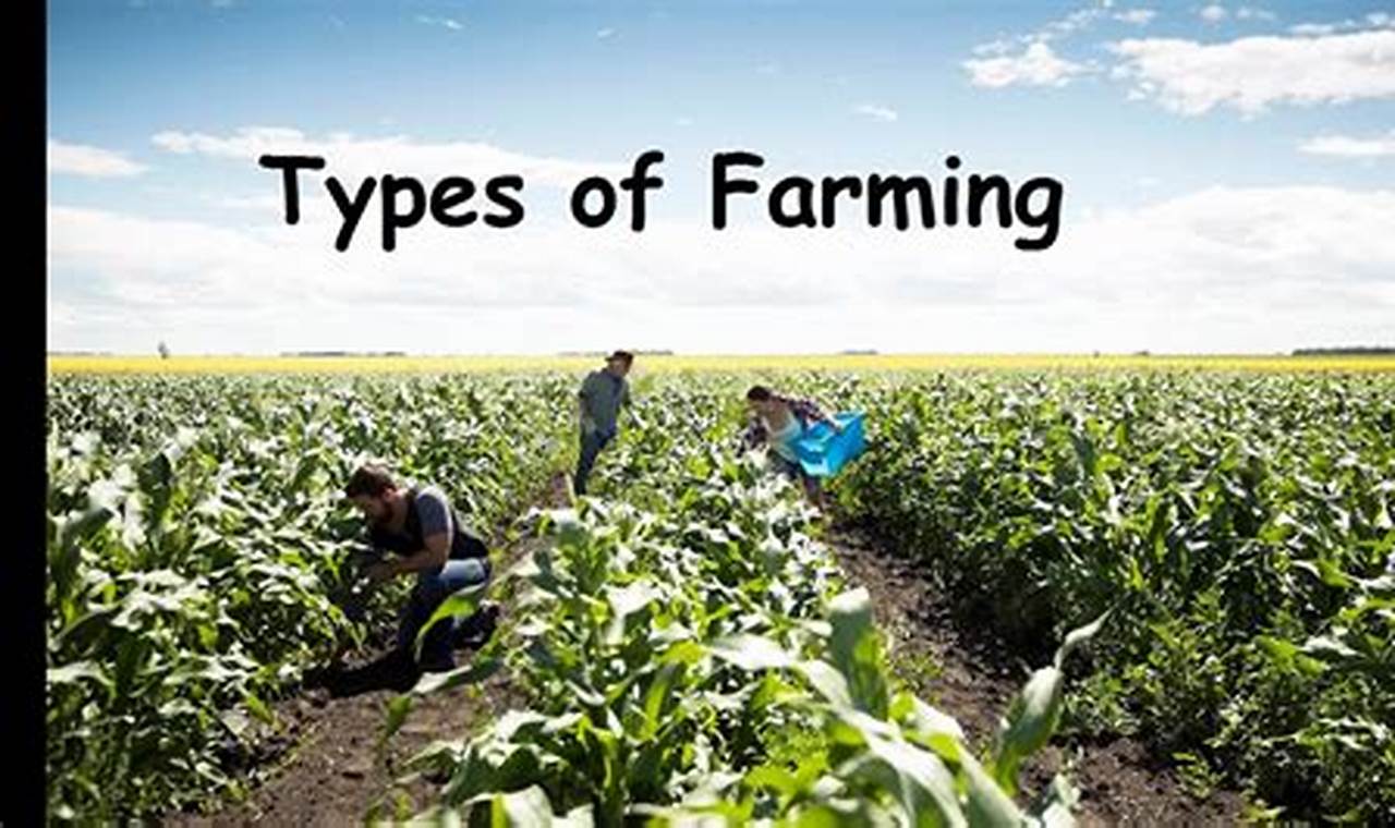 Unearthing the Secrets: Why Farming Practices Vary Globally