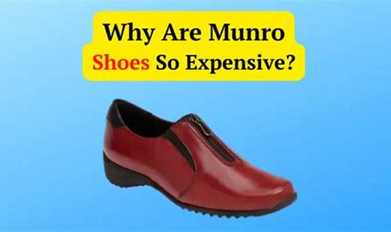Unveiling the Premium Value of Munro Shoes: A Traveler's Guide to Comfort and Durability