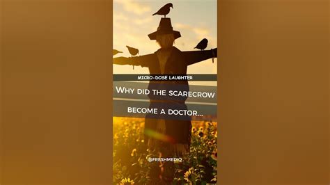 Why did the scarecrow become a successful veterinarian?