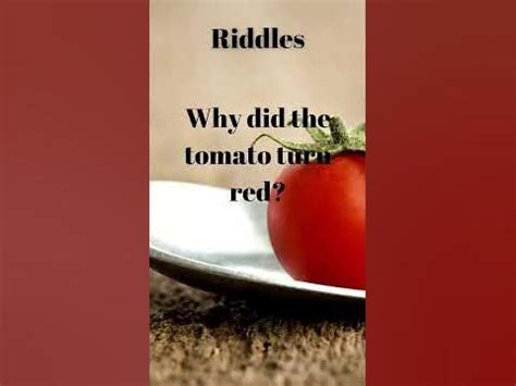 why did the tomato turn red