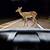 why do deers stop in headlights