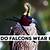 why do falcons wear hoods