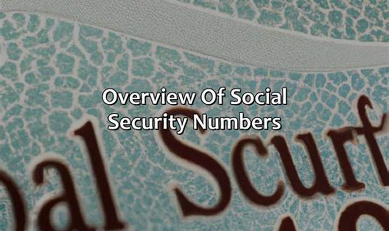Why Do Insurance Companies Need Your Social Security Number?