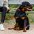 why do people cut rottweilers tails
