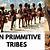 why do we know so little about primitive tribes