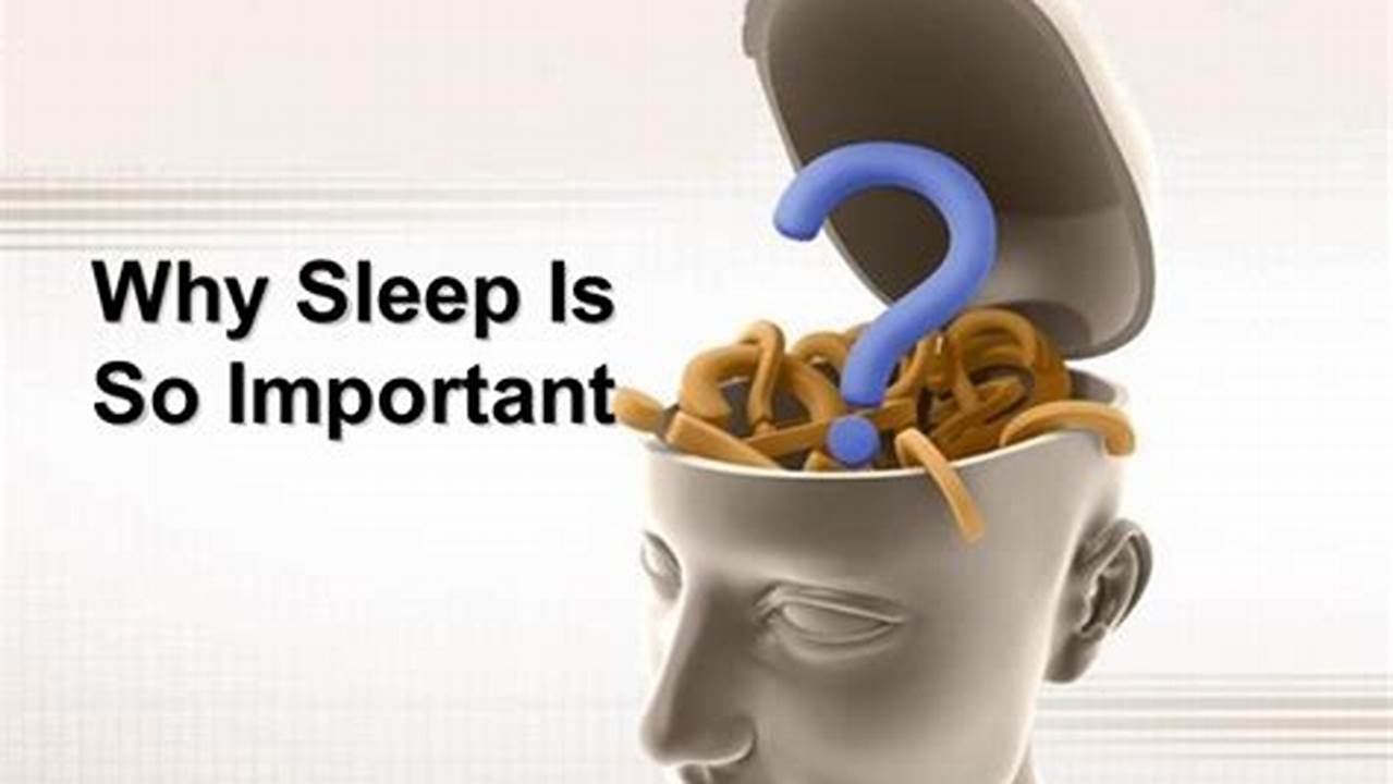 Why Sleep Is So Important for Your Stress Management