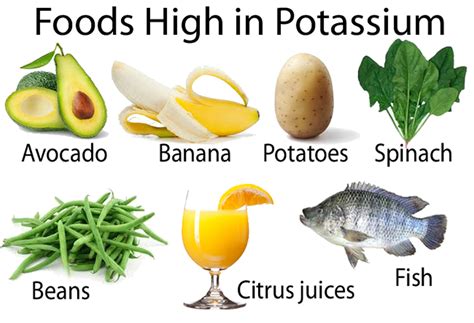 41 Foods High In Potassium Total List of Potassium Rich Foods