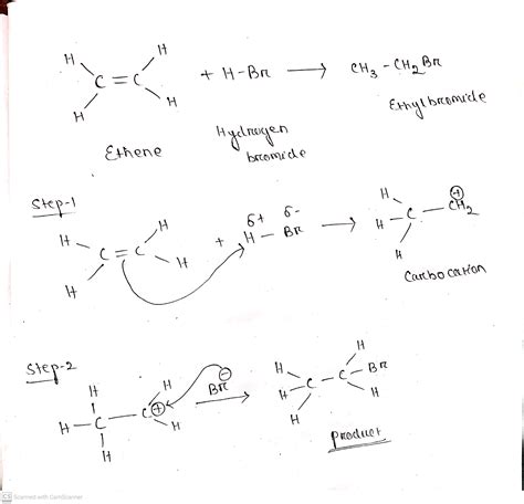 why alkenes undergo addition reaction