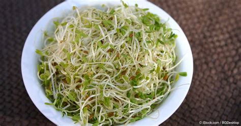 why are alfalfa sprouts not sold anymore