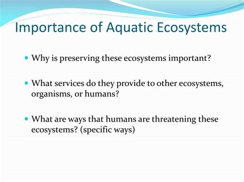 why are aquatic ecosystems important