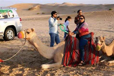 why are camels important in the uae