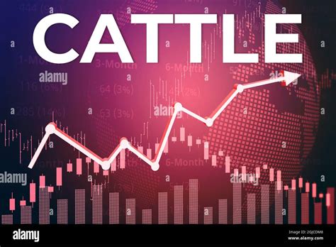 Why Are Cattle Futures Down