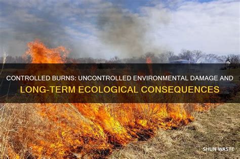 Why Are Controlled Burns Bad