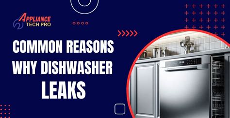 Why Are Dishwashers On Backorder