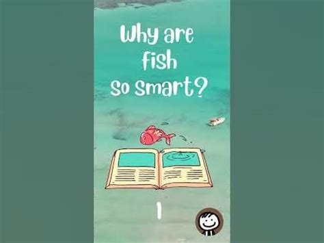 Why Are Fish So Smart Answer
