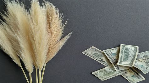 Why Are Grass Trees So Expensive