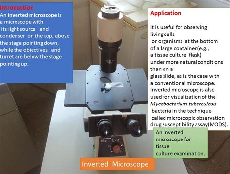 Why Are Images Inverted In A Microscope