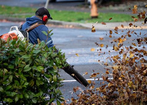 Why Are Leaf Blowers Illegal