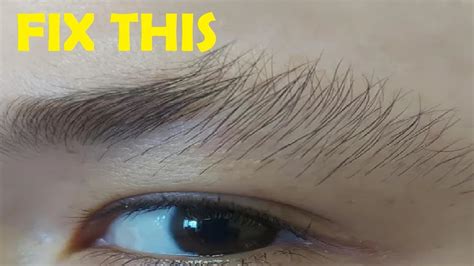Why Are My Eyebrow Hairs Sticking Up 