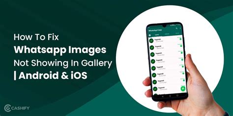 why are my whatsapp photos not in my gallery iphone