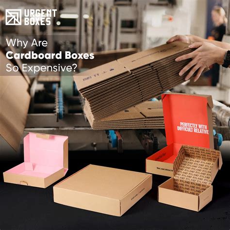 Why Are Planter Boxes So Expensive