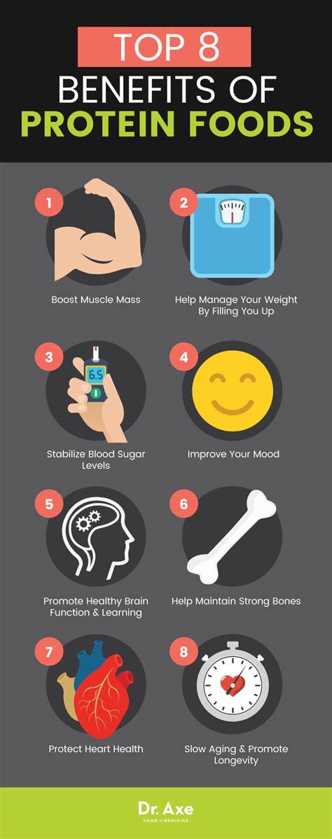 Why Are Proteins Important