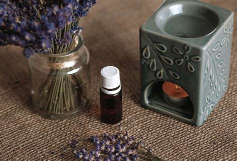 Why Are Scentsy Diffusers So Expensive