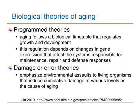 why are theories of aging important