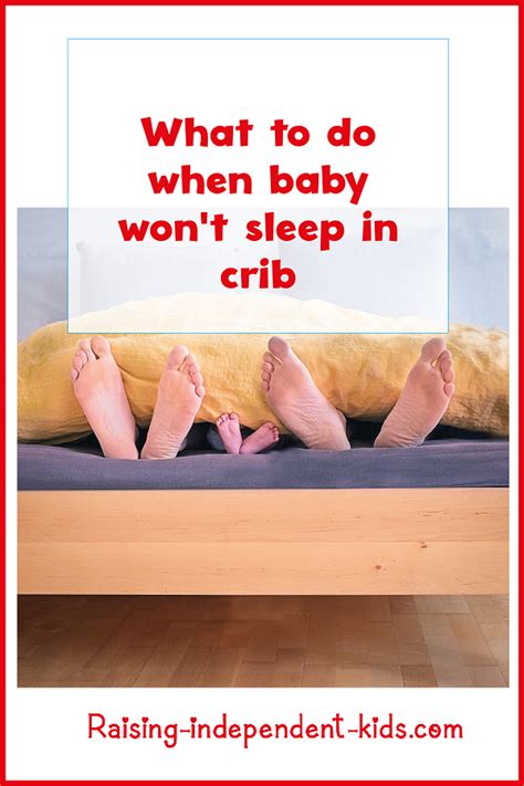 why babies don't sleep in crib