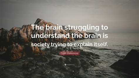 why can't the brain understand itself