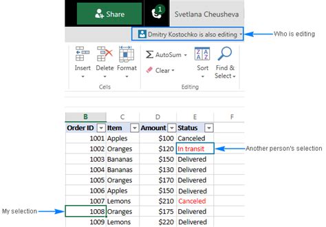 why can i not share an excel file