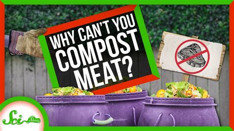 Why Can T You Compost Meat
