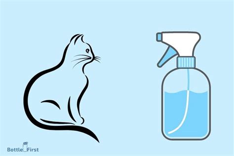 Why Cat Hate Sanitizer