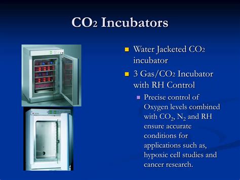 Why Cells Need Co2 Incubator