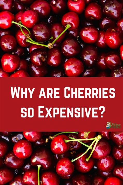 Why Cherries So Expensive 2022