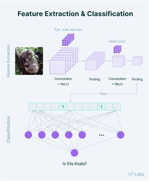 why cnn is used for image classification