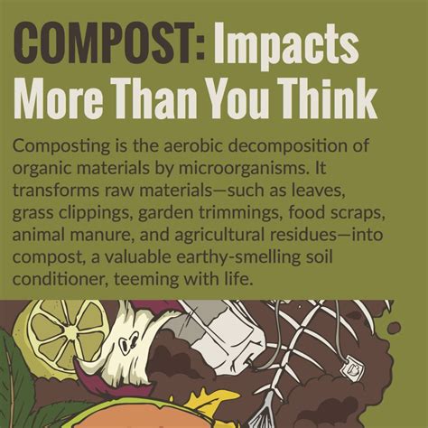 Why Composting Is So Important