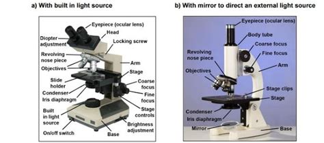 Why Compound Microscope Is Called Light Microscope