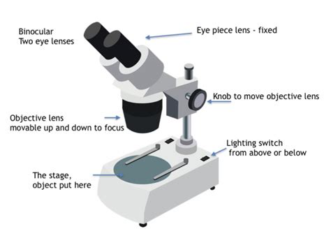 Why Convex Lens Is Used In Microscope