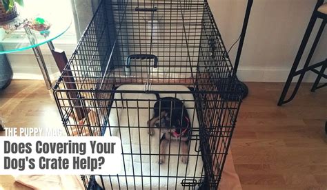 Why Cover Dog Crate
