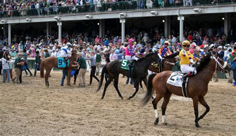 why did horses die at kentucky derby