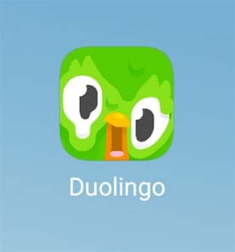 This Are Why Did The Duolingo App Icon Change Best Apps 2023